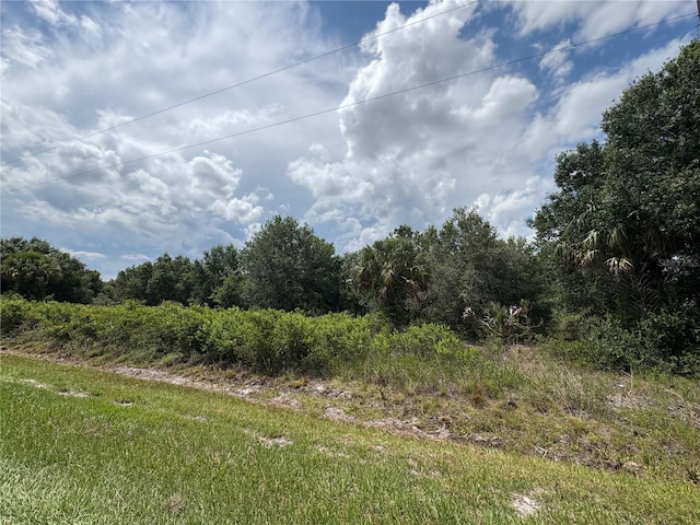 19575 NW 266th St, Okeechobee, FL 34972 - photo 6