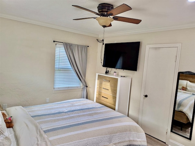 2408 Decottes Ave, Sanford, FL 32771 - photo 17