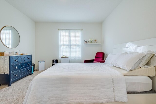 320 Boardwalk Ave, Haines City, FL 33844 - view of carpeted bedroom