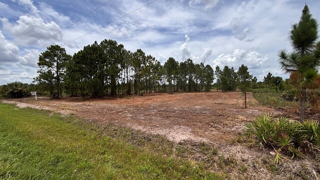 18121 NW 304th St, Okeechobee, FL 34972 - photo 13