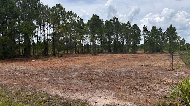 18121 NW 304th St, Okeechobee, FL 34972 - photo 3