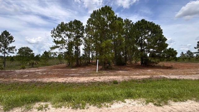 18121 NW 304th St, Okeechobee, FL 34972 - photo 15