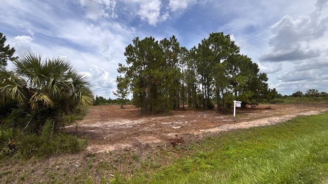 18121 NW 304th St, Okeechobee, FL 34972 - photo 16
