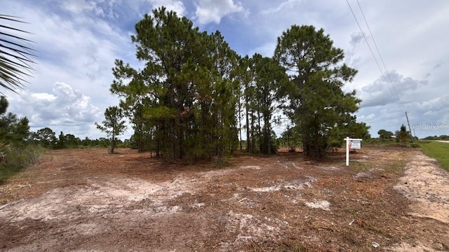18121 NW 304th St, Okeechobee, FL 34972 - photo 18
