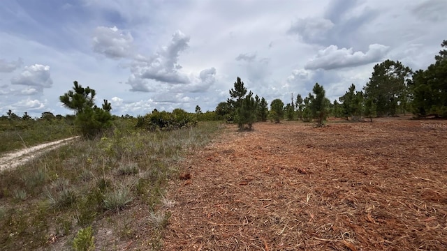 18121 NW 304th St, Okeechobee, FL 34972 - photo 20