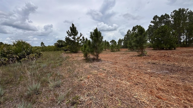 18121 NW 304th St, Okeechobee, FL 34972 - photo 21