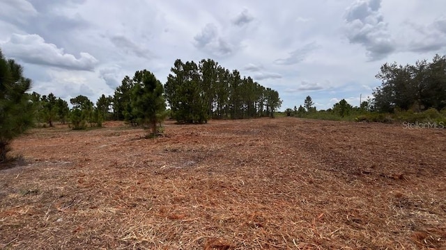 18121 NW 304th St, Okeechobee, FL 34972 - photo 22