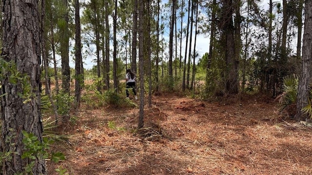 18121 NW 304th St, Okeechobee, FL 34972 - photo 23