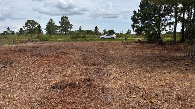 18121 NW 304th St, Okeechobee, FL 34972 - photo 24