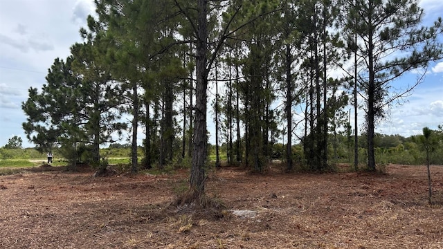 18121 NW 304th St, Okeechobee, FL 34972 - photo 25