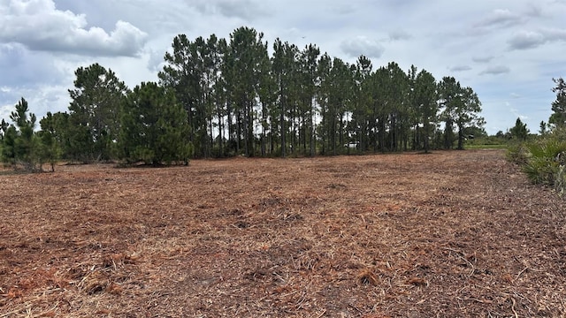 18121 NW 304th St, Okeechobee, FL 34972 - photo 8