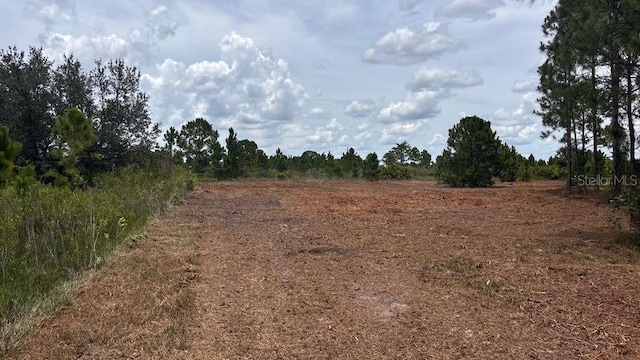 18121 NW 304th St, Okeechobee, FL 34972 - photo 2
