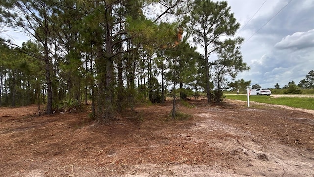 18121 NW 304th St, Okeechobee, FL 34972 - photo 10