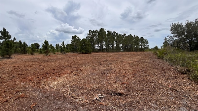 18121 NW 304th St, Okeechobee, FL 34972 - photo 1