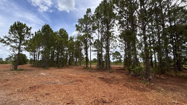 18121 NW 304th St, Okeechobee, FL 34972 - photo 4