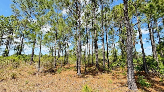 18121 NW 304th St, Okeechobee, FL 34972 - photo 6