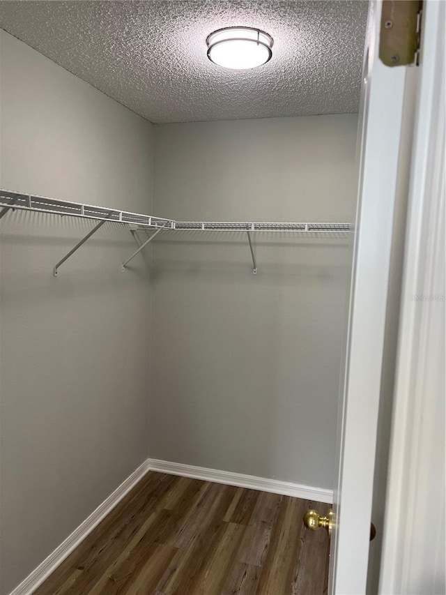 2211 Julianna Ct, Saint Cloud, FL 34769 - walk in closet featuring dark wood-style flooring