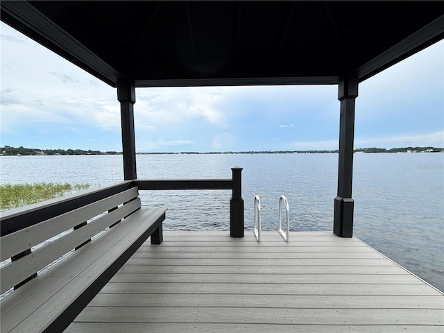10506 Down Lakeview Cir, Windermere, FL 34786 - photo 30