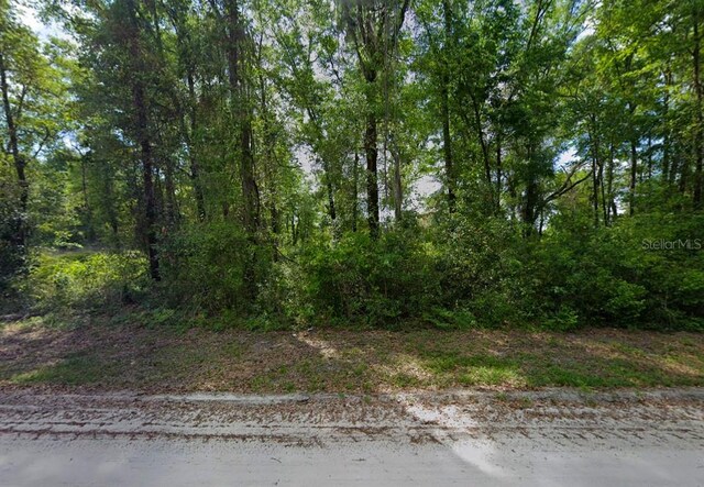 247 SW Merciful Pl, Fort White, FL 32038