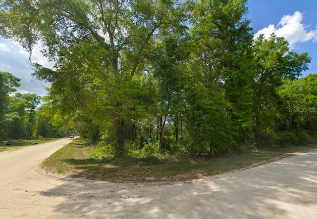 247 SW Merciful Pl, Fort White, FL 32038