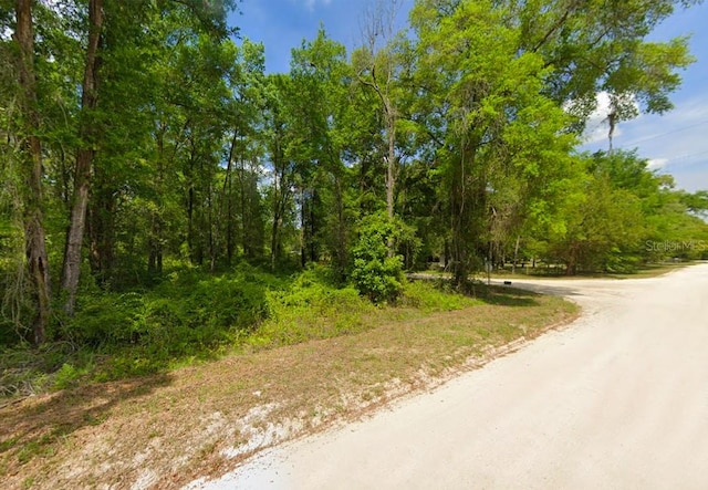 247 SW Merciful Pl, Fort White, FL 32038