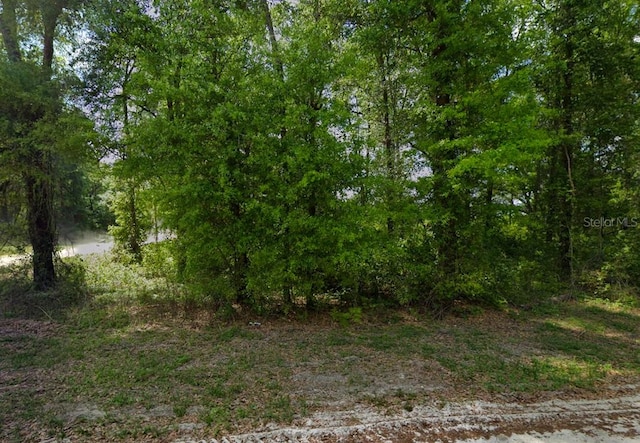 247 SW Merciful Pl, Fort White, FL 32038