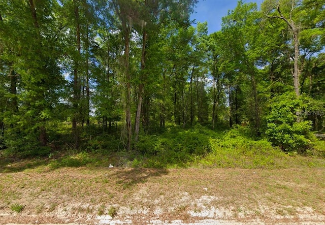 247 SW Merciful Pl, Fort White, FL 32038