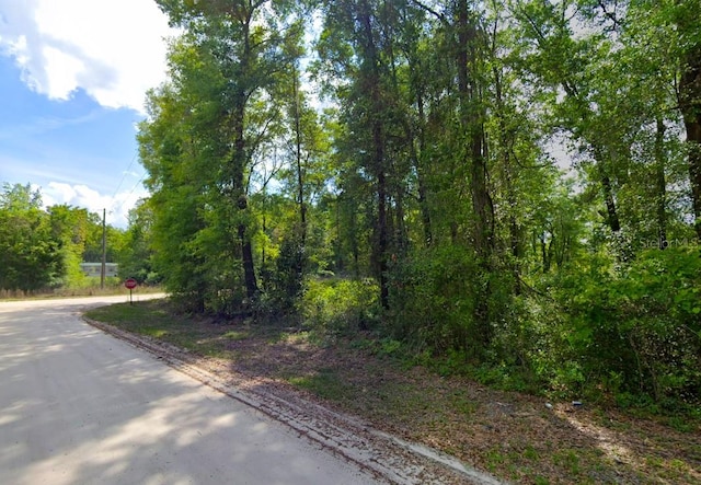 247 SW Merciful Pl, Fort White, FL 32038