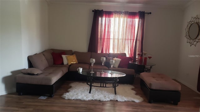 2002 Cascades Blvd Unit 207, Kissimmee, FL 34741 - living room featuring healthy amount of natural light, wood finished floors, and crown molding