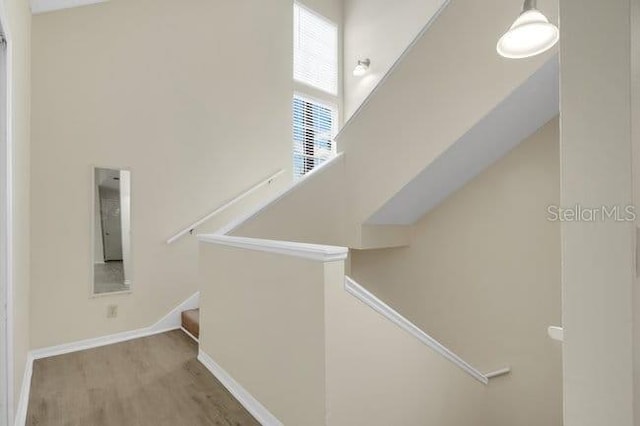 6004 Westgate Dr Unit 301, Orlando, FL 32835 - photo 17