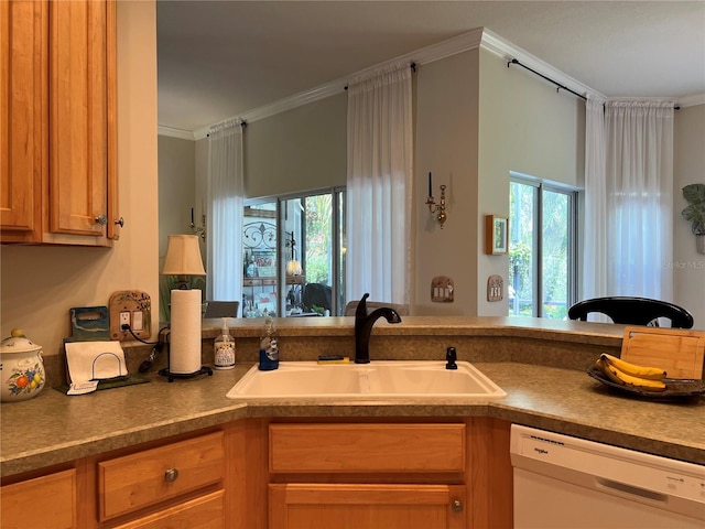 99 Auburn Dr, Kissimmee, FL 34759 - kitchen with white dishwasher, ornamental molding, and plenty of natural light