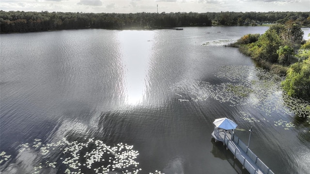3468 Soho St # 307, Orlando, FL 32835 - photo 33