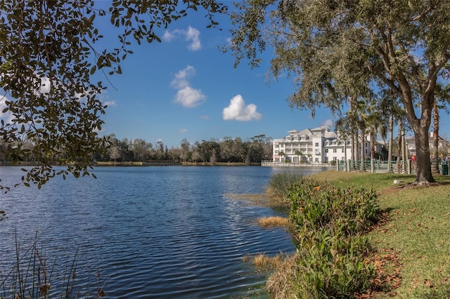1042 Waterside Dr, Celebration, FL 34747 - photo 52