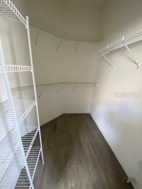 9048 Saint Andrews Way, Mount Dora, FL 32757 - walk in closet featuring wood finished floors
