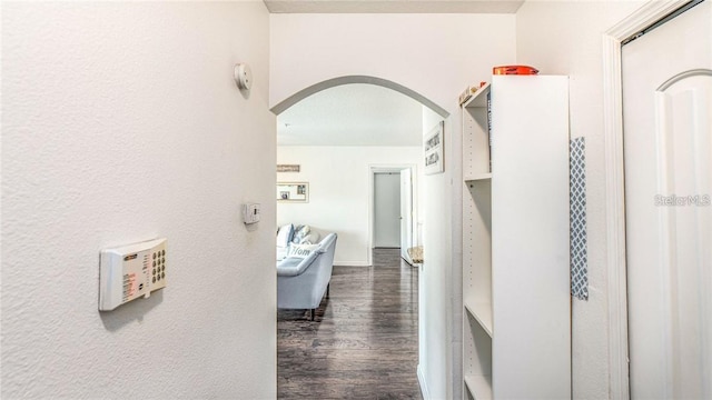 6530 Swissco Dr Unit 1123, Orlando, FL 32822 - photo 6