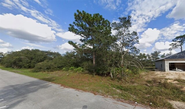 1203 Apopka Ln, Kissimmee, FL 34759 - photo 2