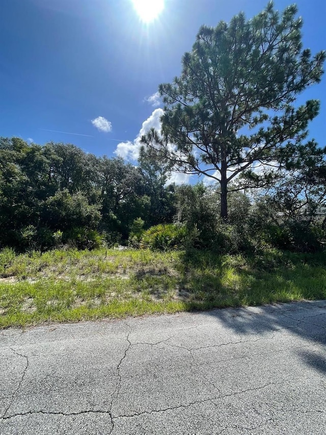 1203 Apopka Ln, Kissimmee, FL 34759 - photo 4