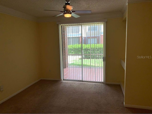 13102 Mulberry Park Dr Unit 917, Orlando, FL 32821 - photo 4