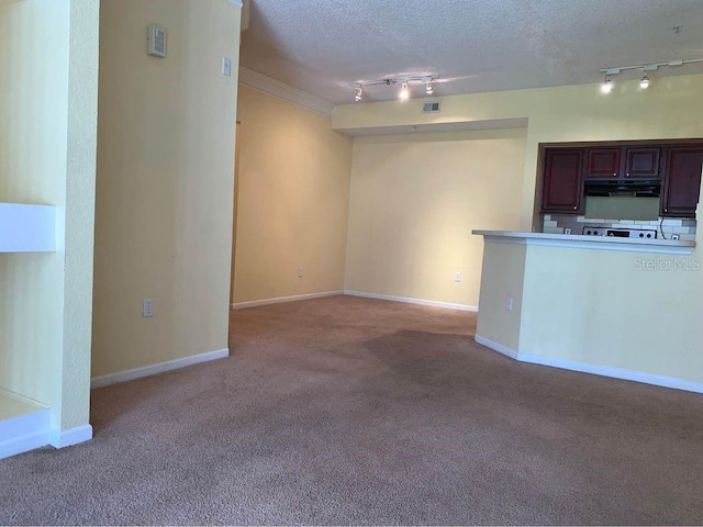 13102 Mulberry Park Dr Unit 917, Orlando, FL 32821 - photo 5