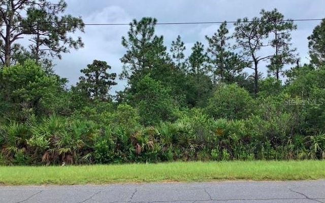 Palmland St, Orlando, FL 32833 - photo 1