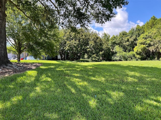 3828 Bowline Cir Unit 101, Kissimmee, FL 34741 - view of grassy yard