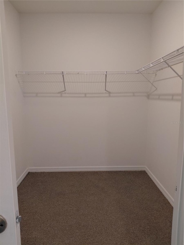2132 Desert Rose Dr, Davenport, FL 33837 - spacious closet featuring carpet