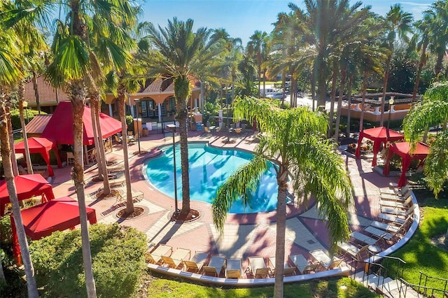 242 Saragossa Ave, Davenport, FL 33897 - community pool featuring a patio area