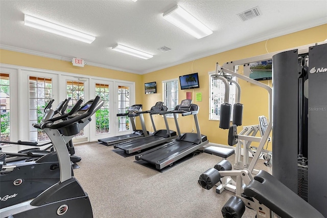 242 Saragossa Ave, Davenport, FL 33897 - gym featuring a textured ceiling, ornamental molding, and carpet