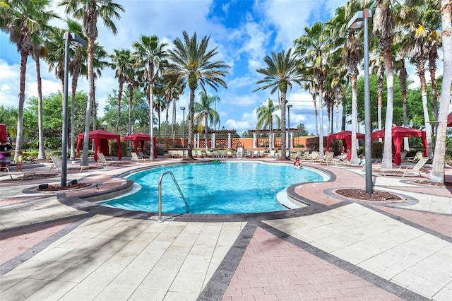 242 Saragossa Ave, Davenport, FL 33897 - community pool featuring a patio