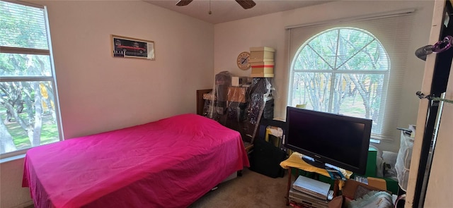 5291 Images Cir Unit 302, Kissimmee, FL 34746 - carpeted bedroom featuring multiple windows and a ceiling fan