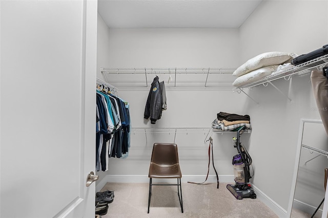 2419 Datura Loop, Saint Cloud, FL 34772 - view of spacious closet