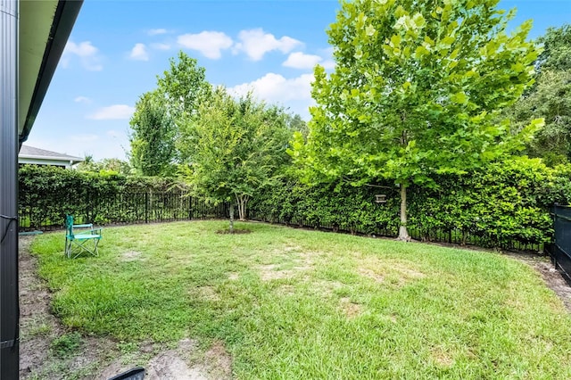 2419 Datura Loop, Saint Cloud, FL 34772 - view of fenced backyard