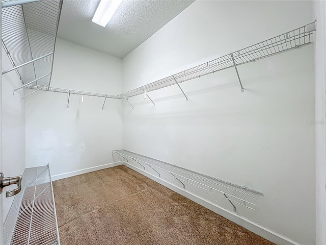 15150 Evergreen Oak Loop, Winter Garden, FL 34787 - walk in closet featuring carpet floors