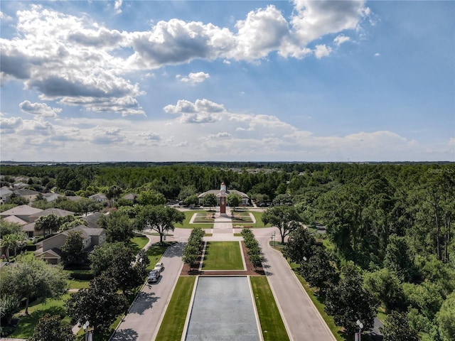 15150 Evergreen Oak Loop, Winter Garden, FL 34787 - drone / aerial view of a heavily wooded area